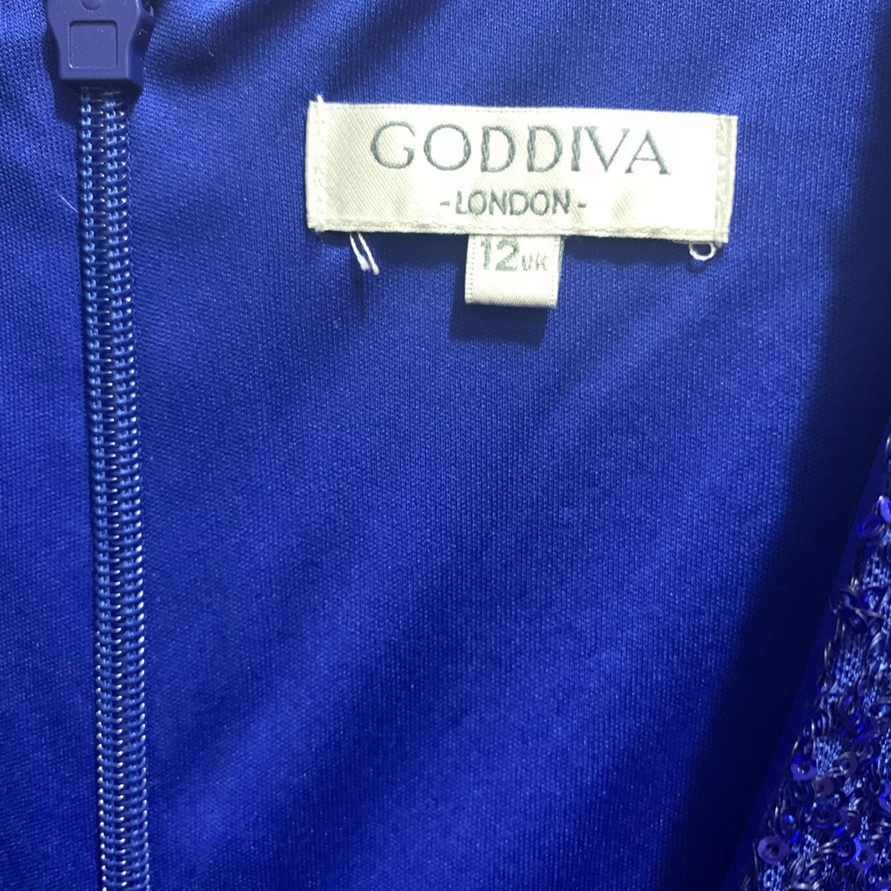 Goddiva Royal Blue Long Sleeve Illusion Gown